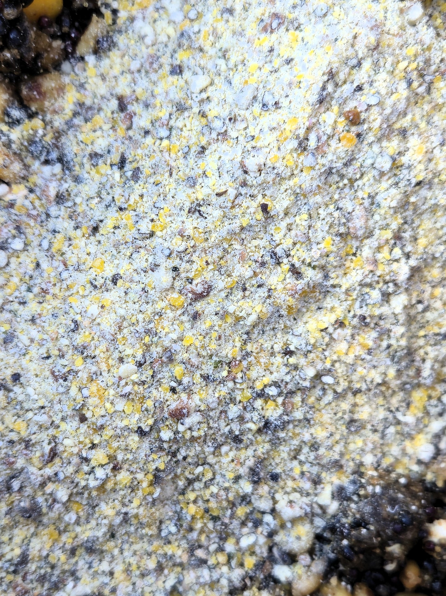 Frühlings-Set 1 kg Partikelmix + 500 g Ground Mix