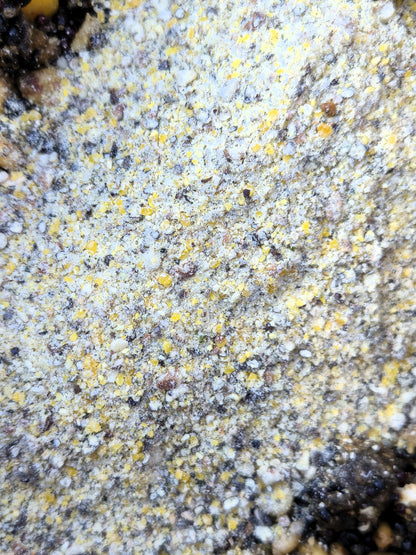 Frühlings-Set 1 kg Partikelmix + 500 g Ground Mix